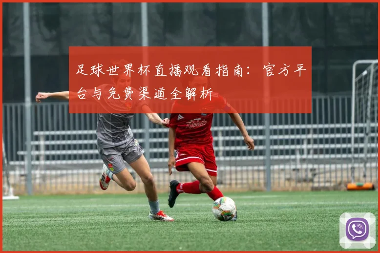 足球世界杯直播观看指南:官方平台与免费渠道全解析